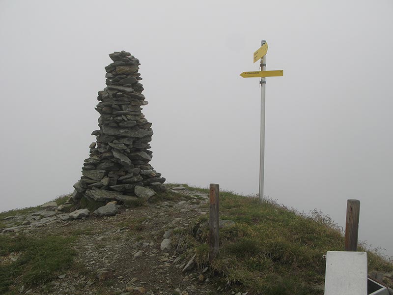 donnerstein